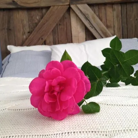 House 公寓 科斯塔特吉塞